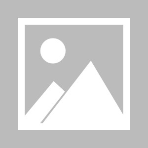 苹果手机-荷兰女足队在国际比赛中取得好成绩胜出