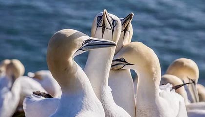 C7娱乐中国|足球赛事v8.3.7