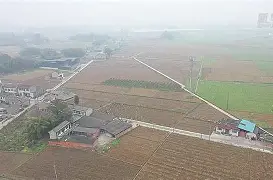 梅斯豪取全胜，喜获丰收与宝贵三分(梅斯nba)