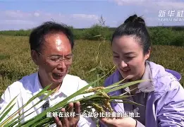 梅斯豪取全胜，喜获丰收与宝贵三分(梅斯nba)