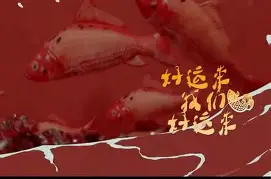 热血燃烧！重头戏终于上演，悬念百出(热血燃烧哪个电影主题曲)